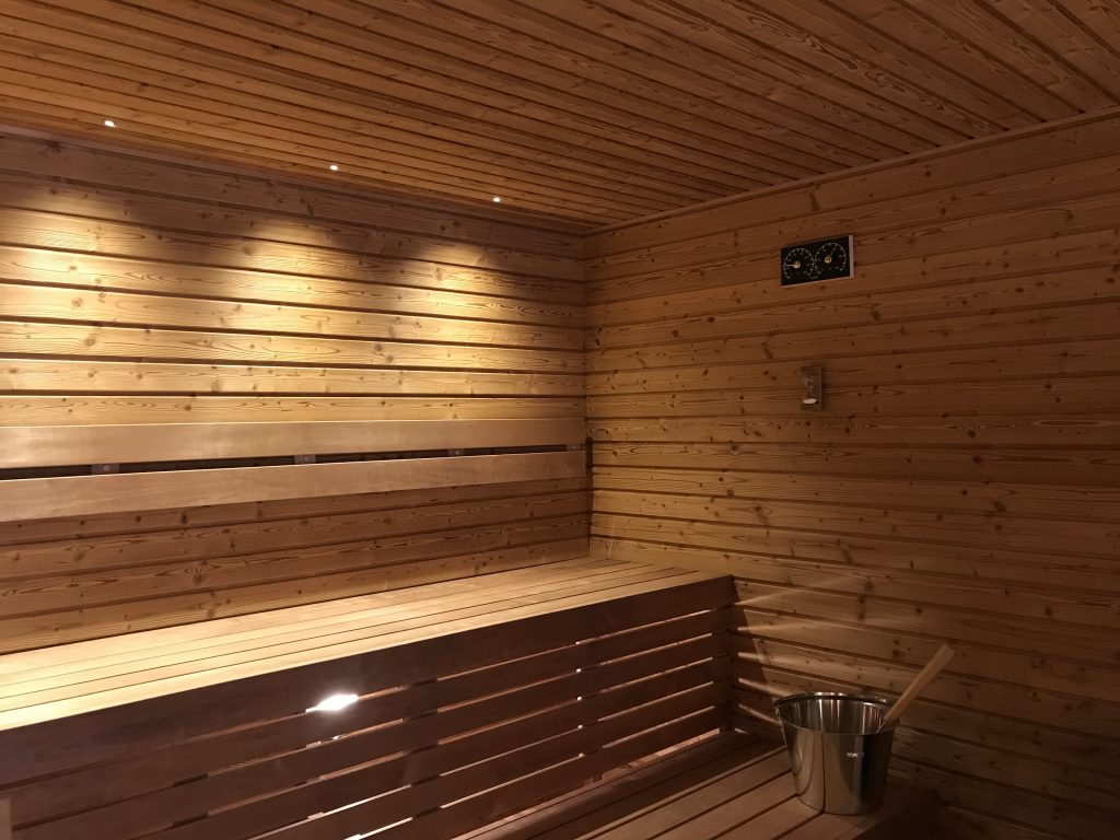 spot light led sauna